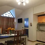Lille France Shkodër