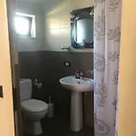 Lille France Shkodër