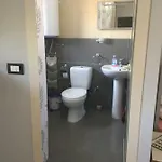 Lille France Shkodër