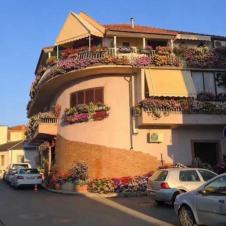 Lille France Σκόδρα