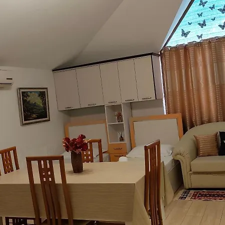 Lille France Shkodër