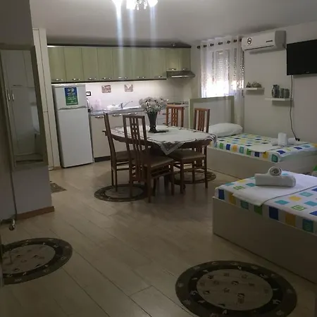 Lille France شكودر