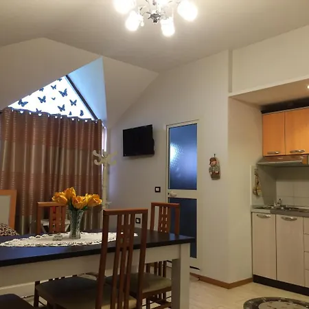 Lille France شكودر