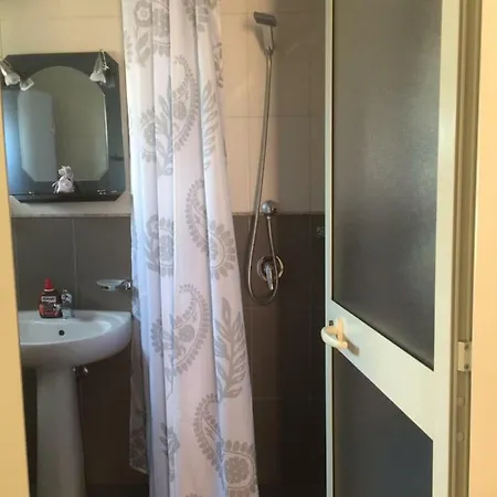 Lille France شكودر