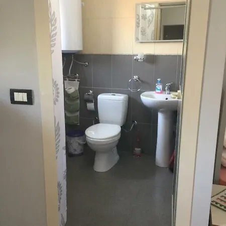 Lille France Szkodra