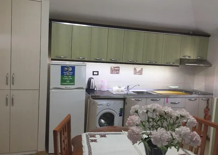 Lille France Shkodër