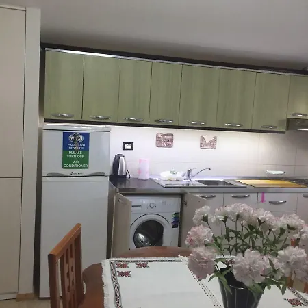 Lille France Shkodër