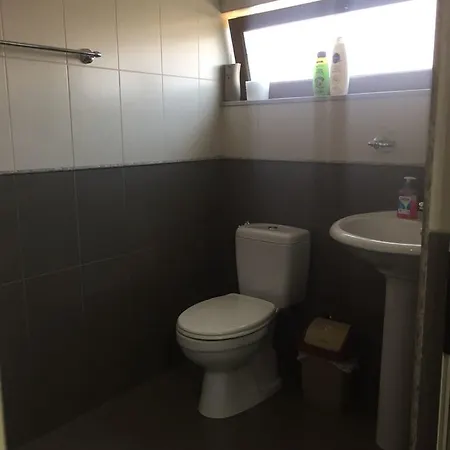 Lille France Shkodër