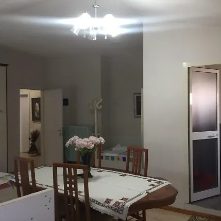 Lille France Shkoder