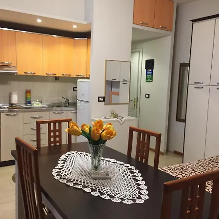 Lille France Shkoder