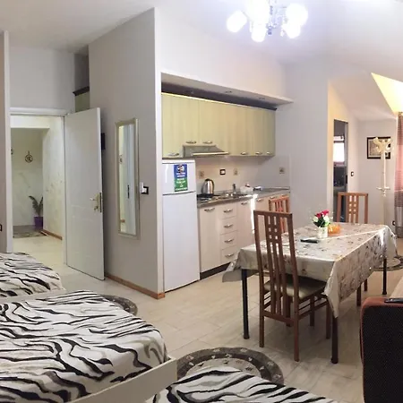 Lille France Shkoder