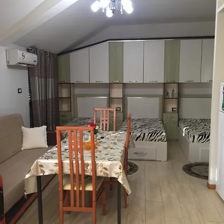 Lille France 3* Shkoder