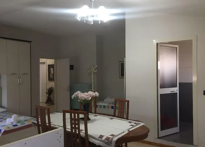 Lille France Shkodër