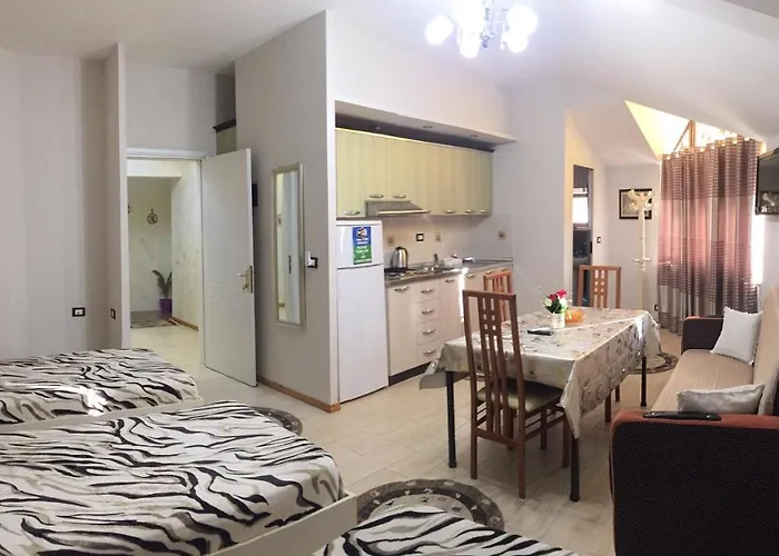 Lille France Shkodër