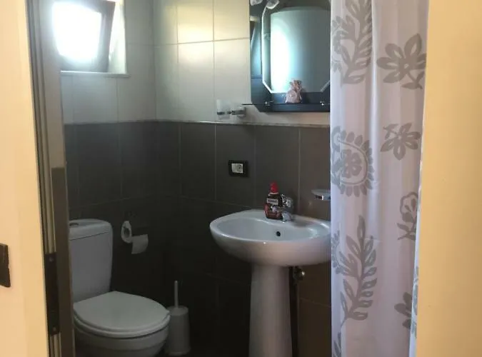 Lille France Shkodër